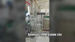 자동 EPDM 곡물 생산 라인